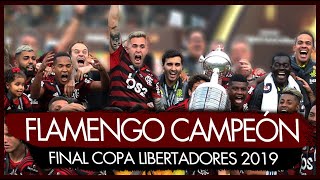 RIVER PIERDE LA COPA LIBERTADORES EN 5 MINUTOS RIVER 1 FLAMENGO 2RESUMEN  ANALISIS [upl. by Neom421]