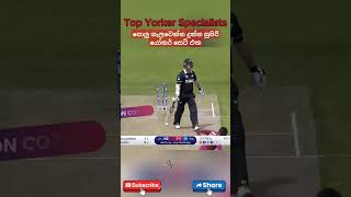 Top Yorker Specialists in Cricket History 🎯🔥 shorts cricket india australia srilanka ipl icc [upl. by Dranyam368]