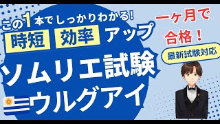 【語呂ワイン／ソムリエ・ワインエキスパート試験】ウルグアイ [upl. by Matthias]