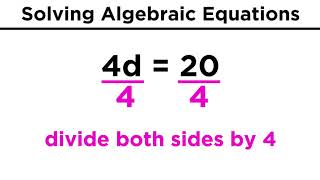 Algebraic Equations and Their Solutions [upl. by Arjun]