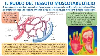 LA STRUTTURA E FUNZIONE DEI VASI SANGUIGNI [upl. by Ahsinak]