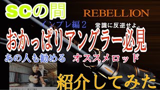 【おかっぱりアングラー必見】あの人も勧めるREBELLIONバスロッドを偉そうに紹介してみたよ！ [upl. by Hallette]