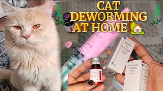 CAT DEWORMING AT HOME  How To Deworm Cats And Kittens  Cat Deworming Made Easy [upl. by Olvan504]