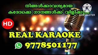 Pambha Sarassilum Adiyante Manasilum Karaoke Ayyappa Devotional Song [upl. by Idisahc]