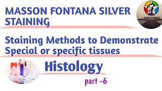 Masson Fontana Silver Staining ll Methods of Staining of special tissues ll Histology [upl. by Hammond455]