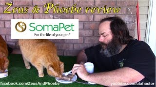 Zeus amp Phoebe review SomaPet by SomaLife [upl. by Jeane]