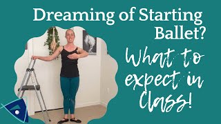 Dreaming of Starting Ballet What to Expect in Your First Class  Broche Ballet [upl. by Raddy562]