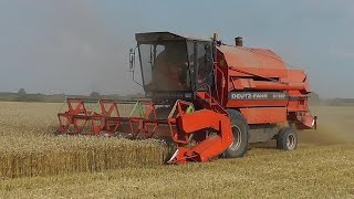 Mähdrescher DeutzFahr M1322 Weizenernte bei Meldorf [upl. by Gherlein]