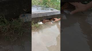 Remove Trash Clogged Drain remove cloggeddrain culvert trash shorts satisfying [upl. by Georges]