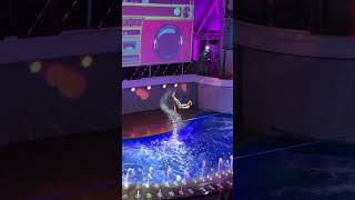 shorts Royal Caribbean Utopia of the Seas AquaTheater Show  Aqua 80 Too Slackline [upl. by Lapotin819]