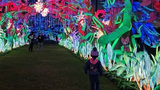 Magic Forest at the Lantern Festival in 4K Stockton CA❤️❤️thesarfamily lightshow [upl. by Ursulette445]