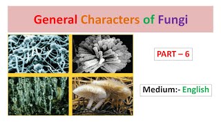 General Characters of Fungi Part6 English [upl. by Laon118]