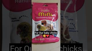 Petslife hand feeding formula for budgies chote panchi ke baccho ke liye shorts viral [upl. by Edelstein473]