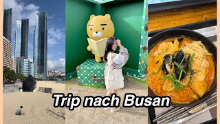 KOREA DIARIES 🇰🇷 Trip nach Busan Haeundae Beach koreanisch essen Photobox amp mehr [upl. by Ventre125]