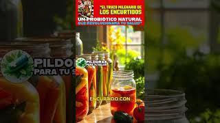 Beneficios de los vegetales fermentados ¡Descubre sus secretos [upl. by Biernat]