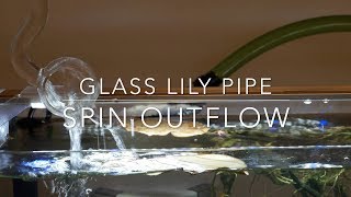 Glass Lily Pipe Spin Outflow and Inflow [upl. by Chastity]