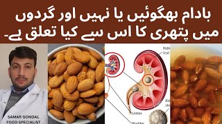 Soaked almonds vs raw almonds which will cause kidney stones  باداموں کو بھگو کر کھانا چاہیے ؟ [upl. by Oetsira]