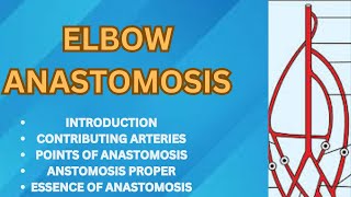 ELBOW ANASTOMOSIS MADE VERY EASY [upl. by Neelram]