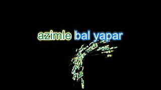 İŞ BİRLİĞİ VE SABIR karaoke [upl. by Prady]