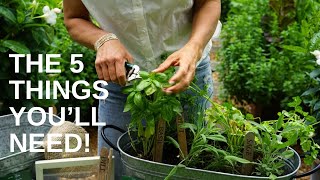 Planting Herbs in One Container Rosemary Sage Basil Oregano Thyme Dill amp Parsley [upl. by Jolene369]