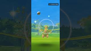 Shiny Tropius After 132 Random Encounter Pokemon Go [upl. by Nilrem]