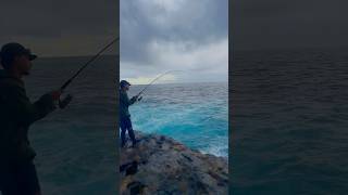 Shore jigging for kingfish fishing fishingtechniques fishingvideo [upl. by Dorahs]