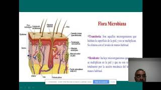 Flora microbiana lara [upl. by Maddock783]