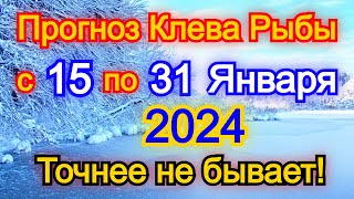 Календарь рыбака с 15 по 31 января 2024 Прогноз клева рыбы Лунный Календарь рыбака 2024 [upl. by Aloysia]