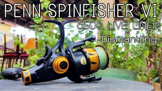 Penn Spinfisher VI 6500 Live Liner  Part 12 Dismantling  Reel service and maintenance [upl. by Karon]