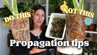 Propagation tips for maximum success [upl. by Oniram]