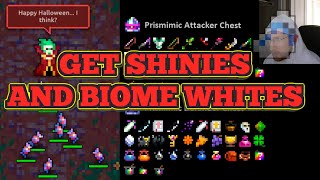 NEW ROTMG Best Way To Get White BagsShinies RIGHT NOW [upl. by Brookner]