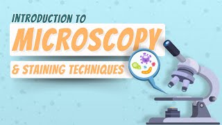 Microscopy amp Staining Techniques  Histology  Block 1 Foundation [upl. by Yhtur]