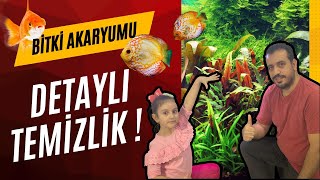 BİTKİ AKVARYUM TEMİZLİĞİ [upl. by Saibot]