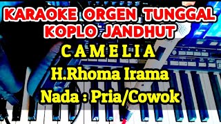 CAMELIA  HRHOMA IRAMA  KARAOKE KOPLO JANDHUT [upl. by Casta]