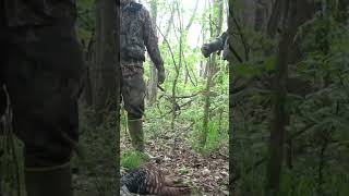 “That feeling when they gobble right there” shortsfeed shorts hunting [upl. by Llenwad656]