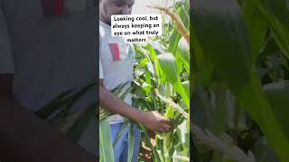 Farmers life 😍 farming youngfarmers farmlife agribusiness agriculture world shorts chill [upl. by Yllac]