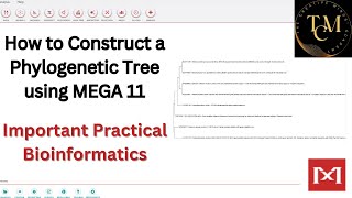 HOW TO CONSTRUCT A PHYLOGENETIC TREE USING MEGA11 I IMPORTANT BIOINFORMATICS PRACTICAL [upl. by Atterual]