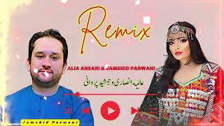 عالیه انصاری و جمشید پروانی Alia Ansari amp Jamshid Parwani New Song 2024 [upl. by Miett974]