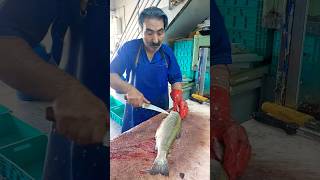 How to fillet a trout for frying fishcutting [upl. by Annohsak]