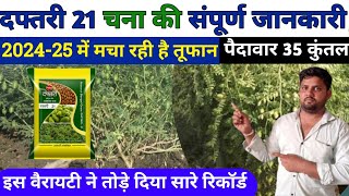 दफ्तरी 21 चना की उन्नत किस्म की संपूर्ण जानकारी daftari 21 chana unnat kism  chana ki unnat kism [upl. by Adella]