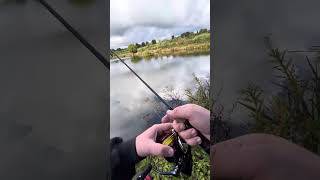 Fishing for perch on tiktok spinners [upl. by Dahsra]