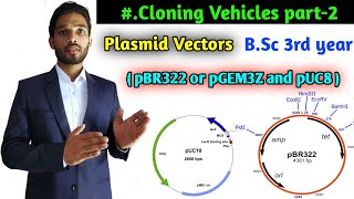 What is Plasmid vectors  pBR322 plasmid vector  pUC8 plasmid vector  BSc 3rd year zoology [upl. by Noreg427]