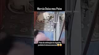 No meu peixe n Márcia 🤣😂😂😂 funnyvideo memes videoviral brasilmemes comedia videoshorts humor [upl. by Aned180]