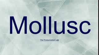 Mollusc Pronunciation How to Say Mollusc  Are You Saying It Right [upl. by Garson]