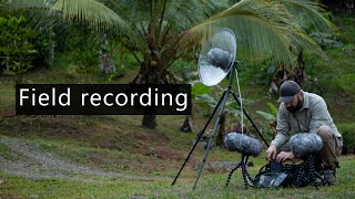 Field recording behind the scenes 34  Dealing with rain in Costa Rica [upl. by Wolgast]