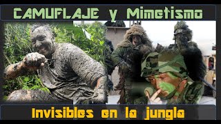 CAMUFLAJE y Mimetismo – Detrás de las líneas ENEMIGAS [upl. by Lucie]