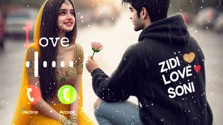 New Romantic Love Ringtone 2024💞🥀 New Hindi Ringtone  Love Ringtone  Insturmental Love Ringtone [upl. by Annor]