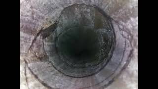 Downhole Video 0104 [upl. by Duck591]