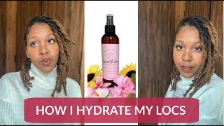 My Favorite LeaveIn Conditioner for Locs  Spiritloveslocs [upl. by Backer]