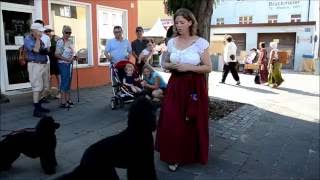 Historisches Stadtmauerfest Nördlingen 2016  Die lustige Hundenummer [upl. by Ellette141]